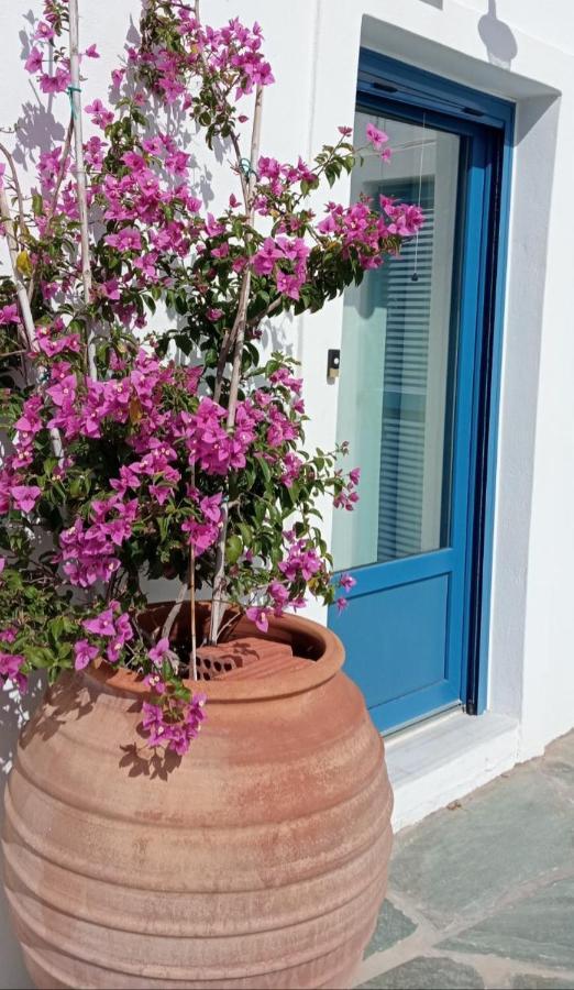 The Veranda Of Gavrion-Exclusive, Centrally Located With Seaview Exterior foto